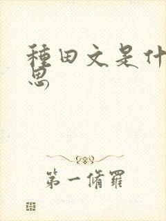 种田文是什么意思封面