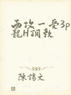 两攻一受3p双龙H调教