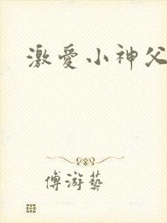 激爱小神父封面