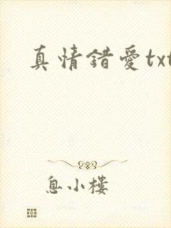 真情错爱txt
