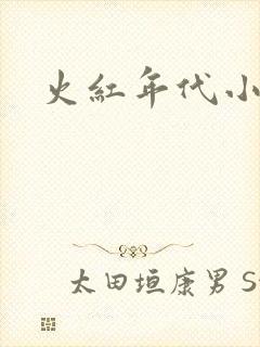 火红年代小说
