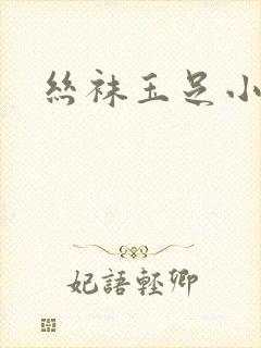 丝袜玉足小说
