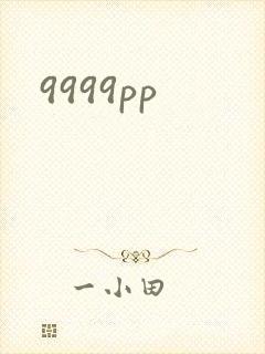 9999pp封面