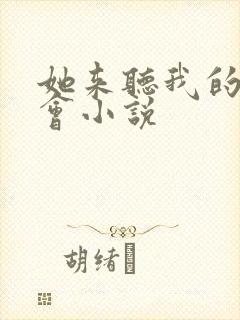 她来听我的演唱会小说封面