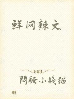 鲜网辣文封面
