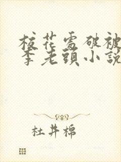校花处破被灌满李老头小说