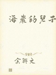 海岩的儿子