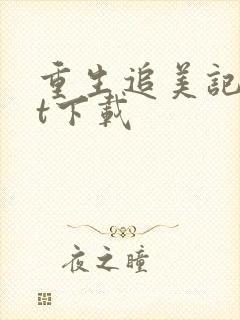 重生追美记txt下载封面