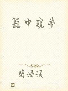 笼中窥梦