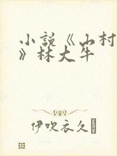 小说《山村情事》林大牛
