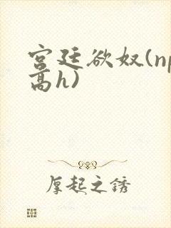 宫廷欲奴(np高h)