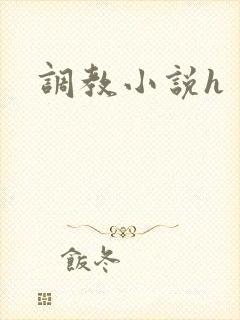 调教小说h封面