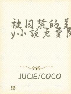 被囚禁的美人by小说免费阅读