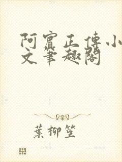 阿宾正传小说全文笔趣阁