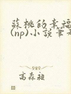 苏桃的幸福生活(np)小说笔趣阁沐沐
