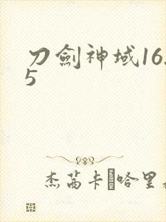 刀剑神域16.5
