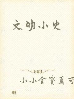 文明小史