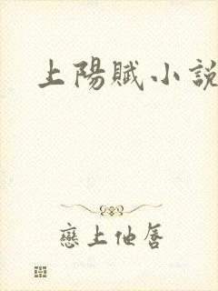 上阳赋小说