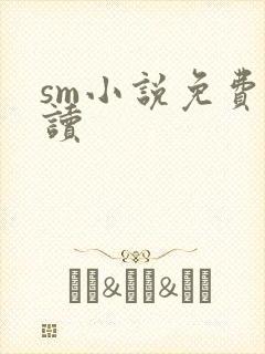 sm小说免费阅读