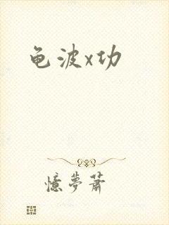龟波x功封面
