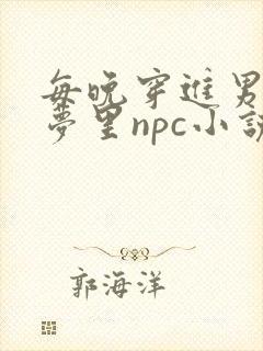 每晚穿进男神的梦里npc小说