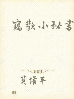 窃欢小秘书封面