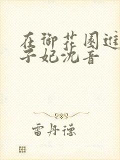 在御花园进入太子妃沈音封面
