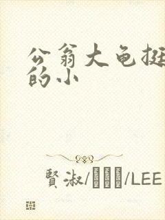 公翁大龟挺进我的小