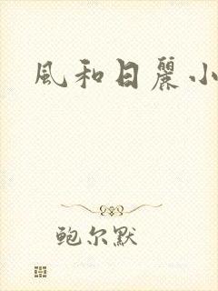 风和日丽小说