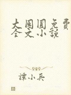 大团圆免费阅读全文小说封面