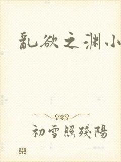乱欲之渊小说封面
