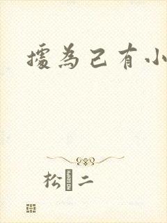 据为己有小说