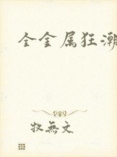 全金属狂潮小说