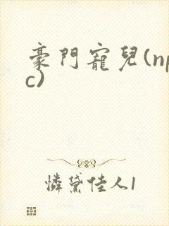 豪门宠儿(npc)