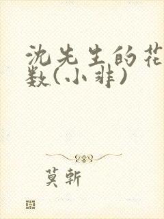 沈先生的花式调数(小非)
