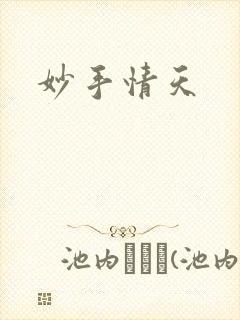 妙手情天封面