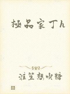 极品家丁h