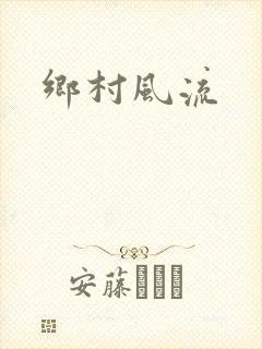 乡村风流封面