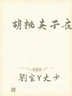 胡桃夹子夜未眠