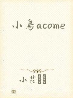 小鸟acome封面