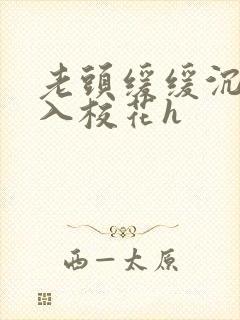 老头缓缓沉腰进入校花h