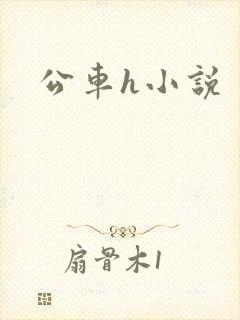 公车h小说