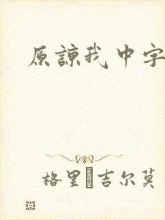 原谅我中字