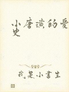 小唐璜的爱情历史