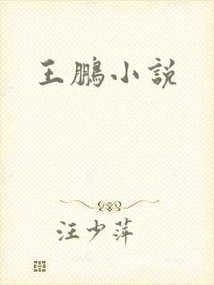 王鹏小说