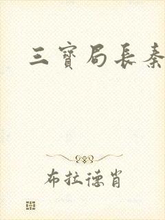 三宝局长秦守仁封面
