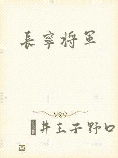 长宁将军封面