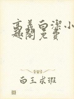 高义白洁小说笔趣阁免费封面