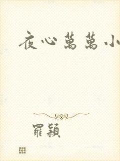 夜心万万小说
