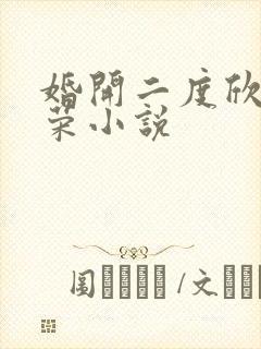 婚开二度欣欣向荣小说
